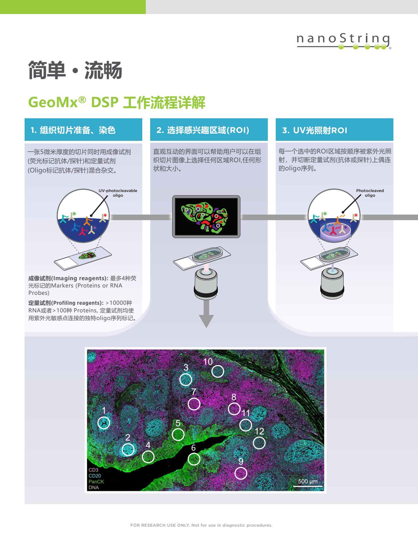 NanoString_GeoMx DSP系统彩页(NGS定量)_V2.11_打印版6.Jpg