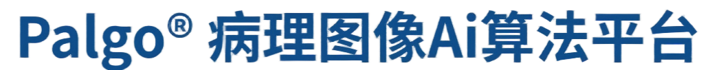 病理图像Ai算法平台