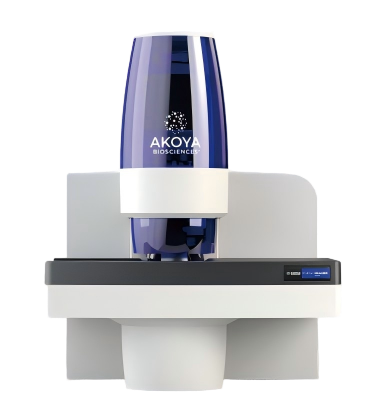 自动定量空间表型分析仪