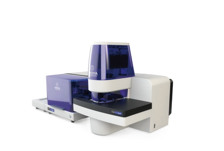 单细胞原位空间组学分析系统