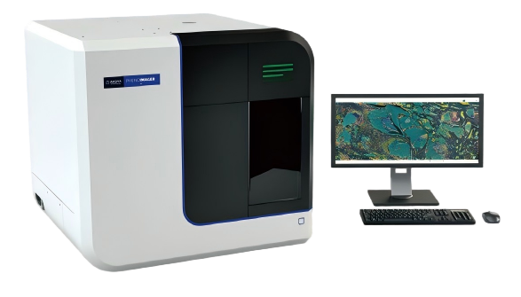 高通量自动定量空间表型分析仪