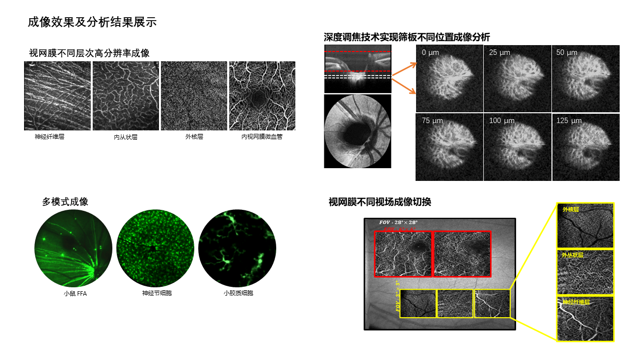 幻灯片1.PNG