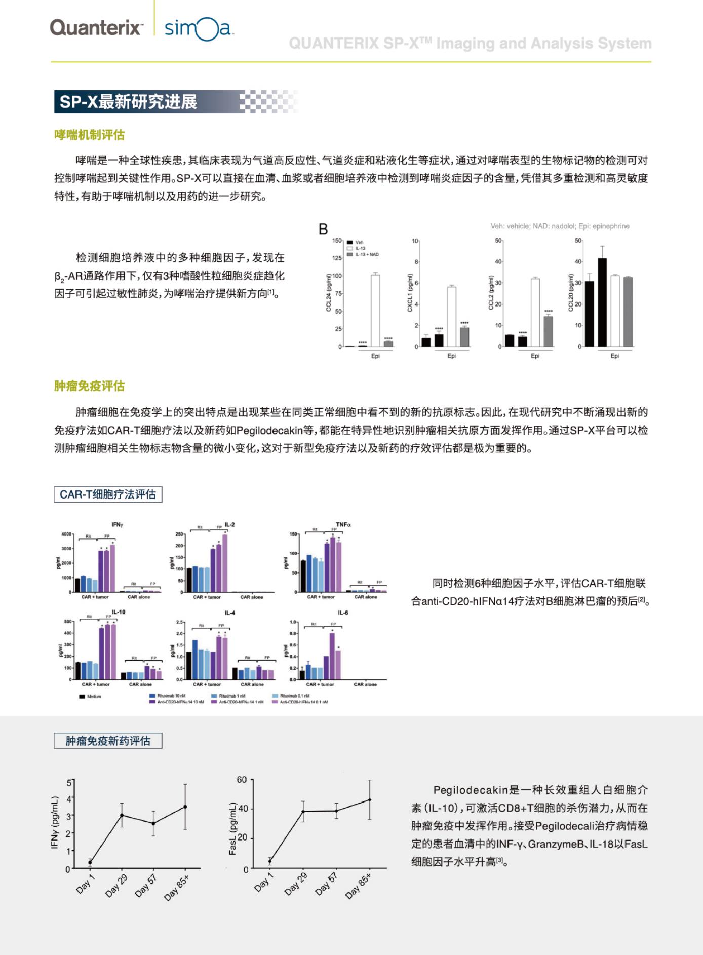 SP-X-罗赫商贸4.Jpg