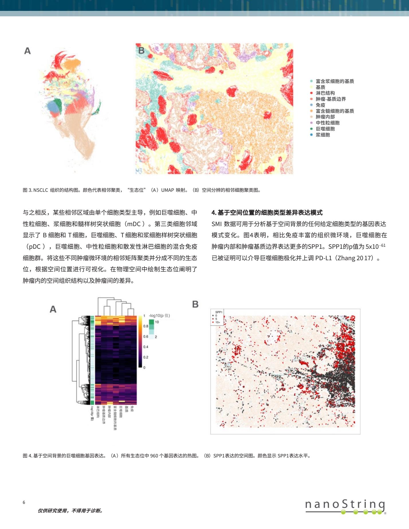 CosMx中文彩页6.Jpg