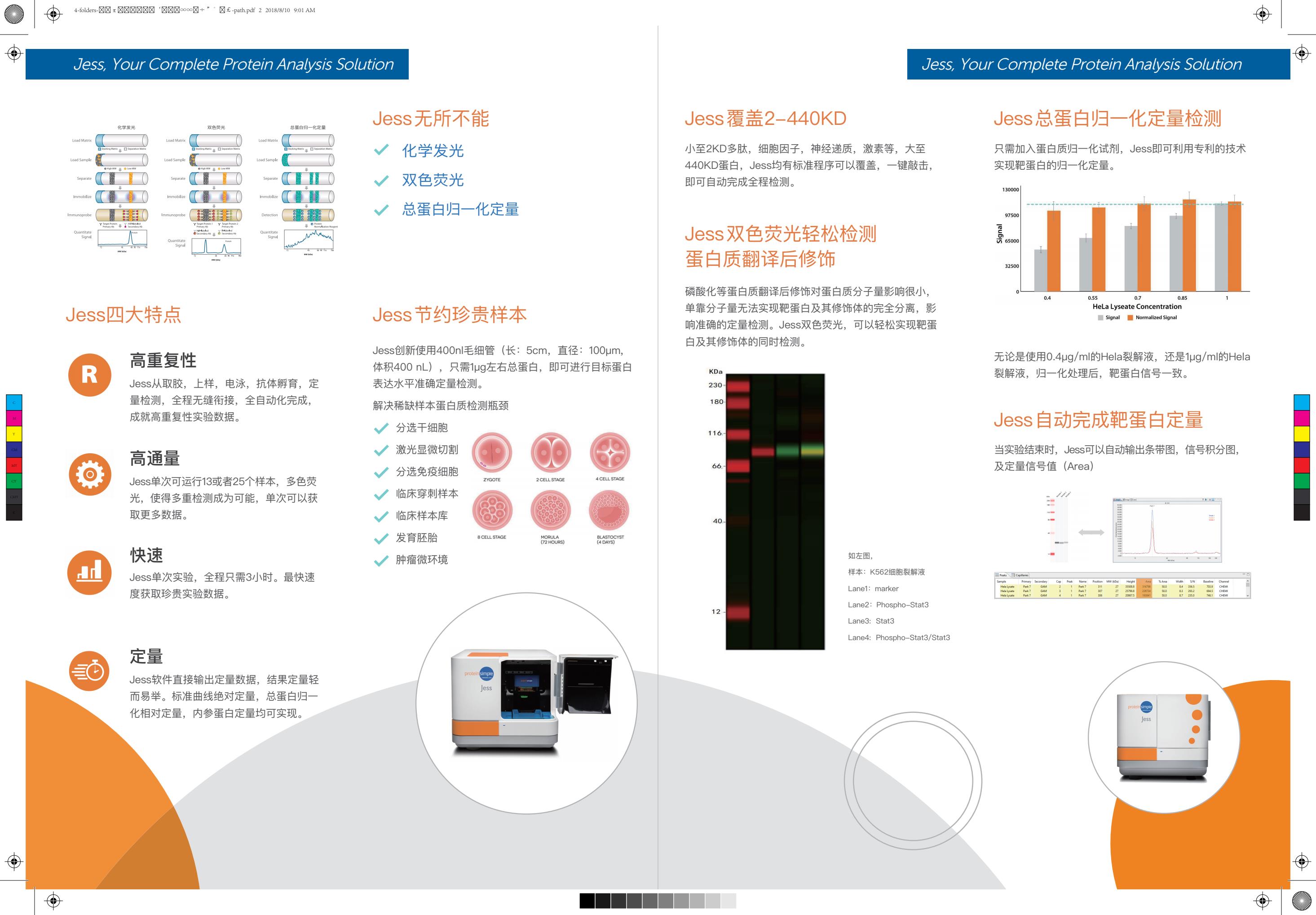 Jess-多功能全自动蛋白质印迹-path2.Jpg