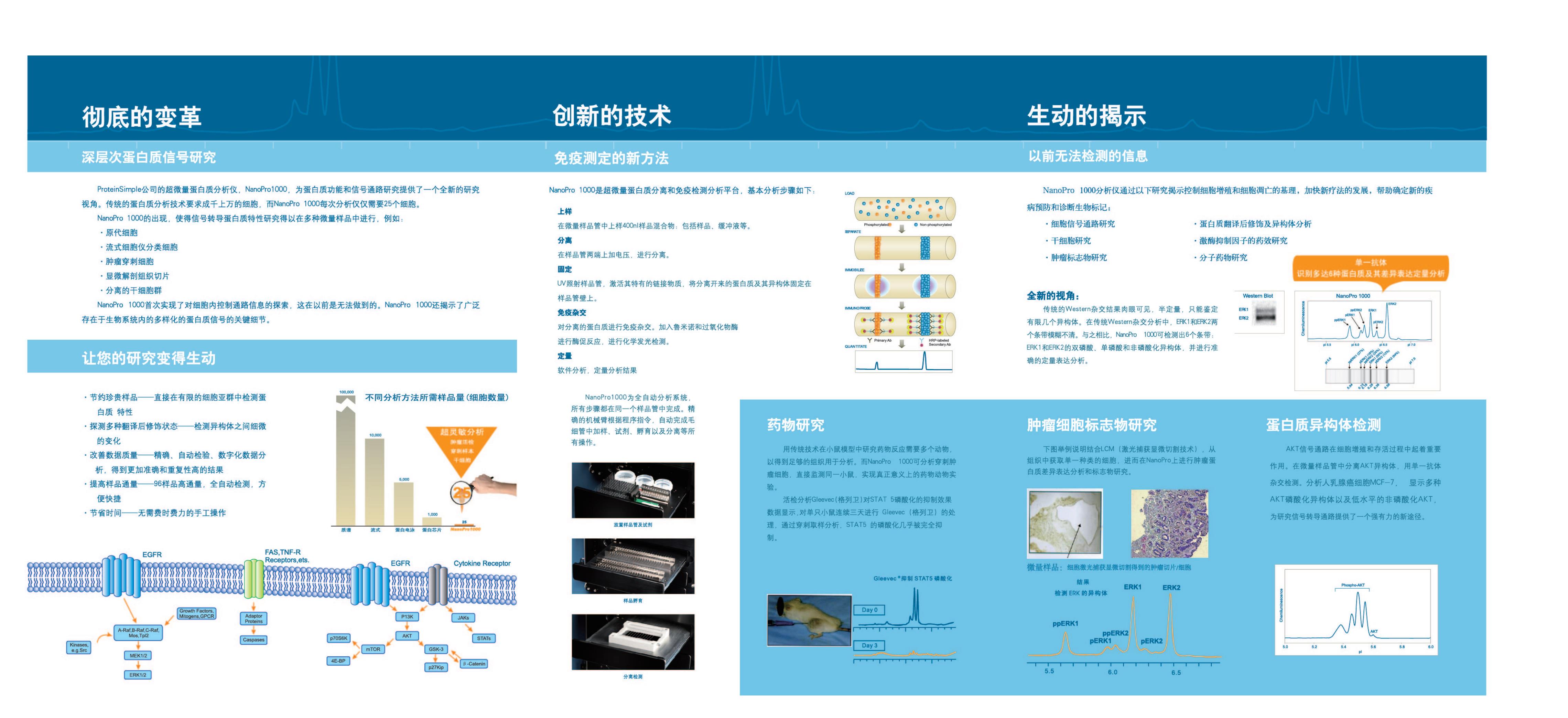 NanoPro1000纳米级超灵敏信号转导通路分析系统彩页2.Jpg