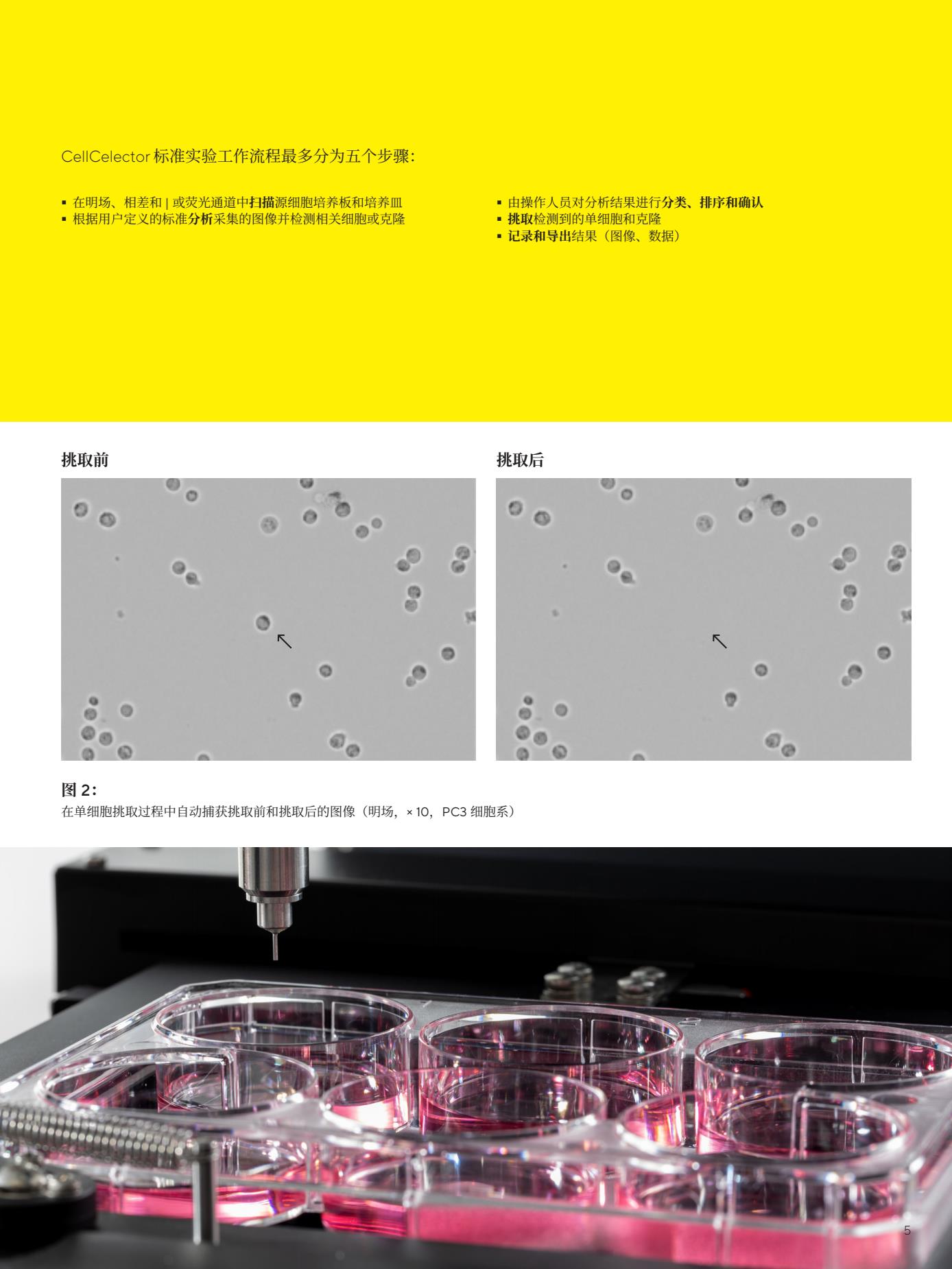 CellCelector-Flex-Instrument-Brochure-zh-L-202211-Sartorius5.Jpg