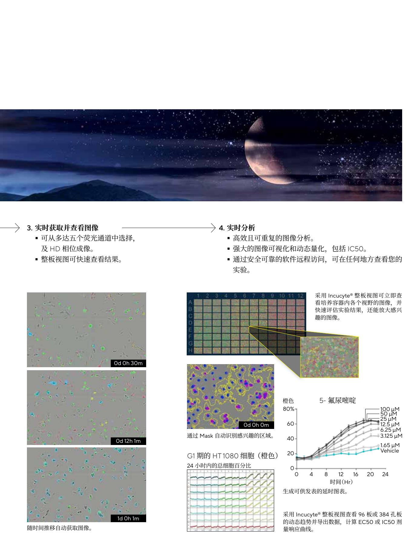 Live-Cell-Analysis-Systems-综合本彩页7.Jpg