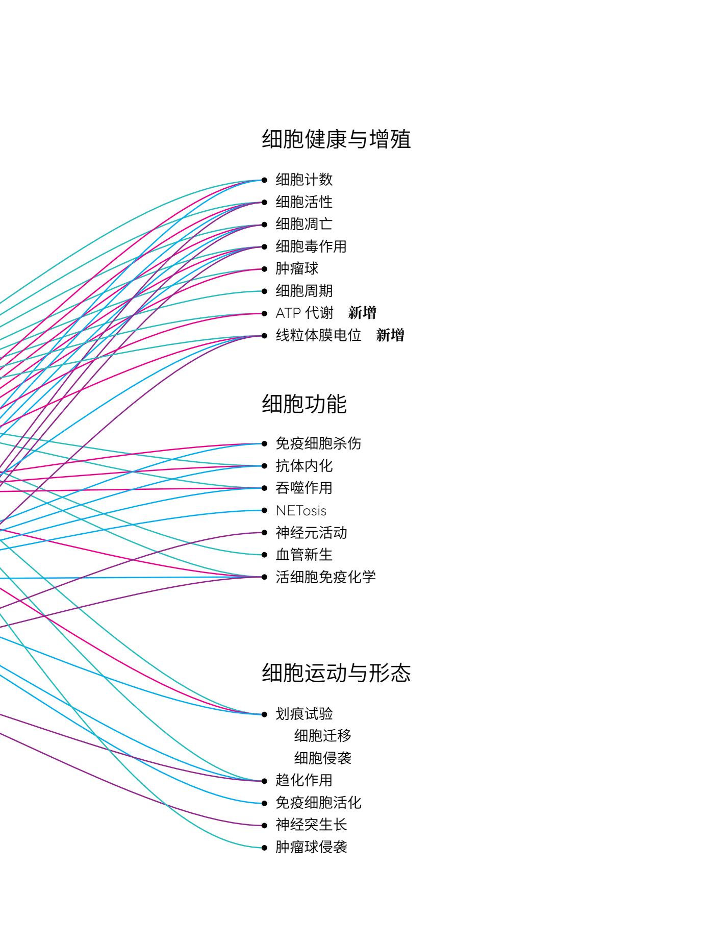 Live-Cell-Analysis-Systems-综合本彩页5.Jpg