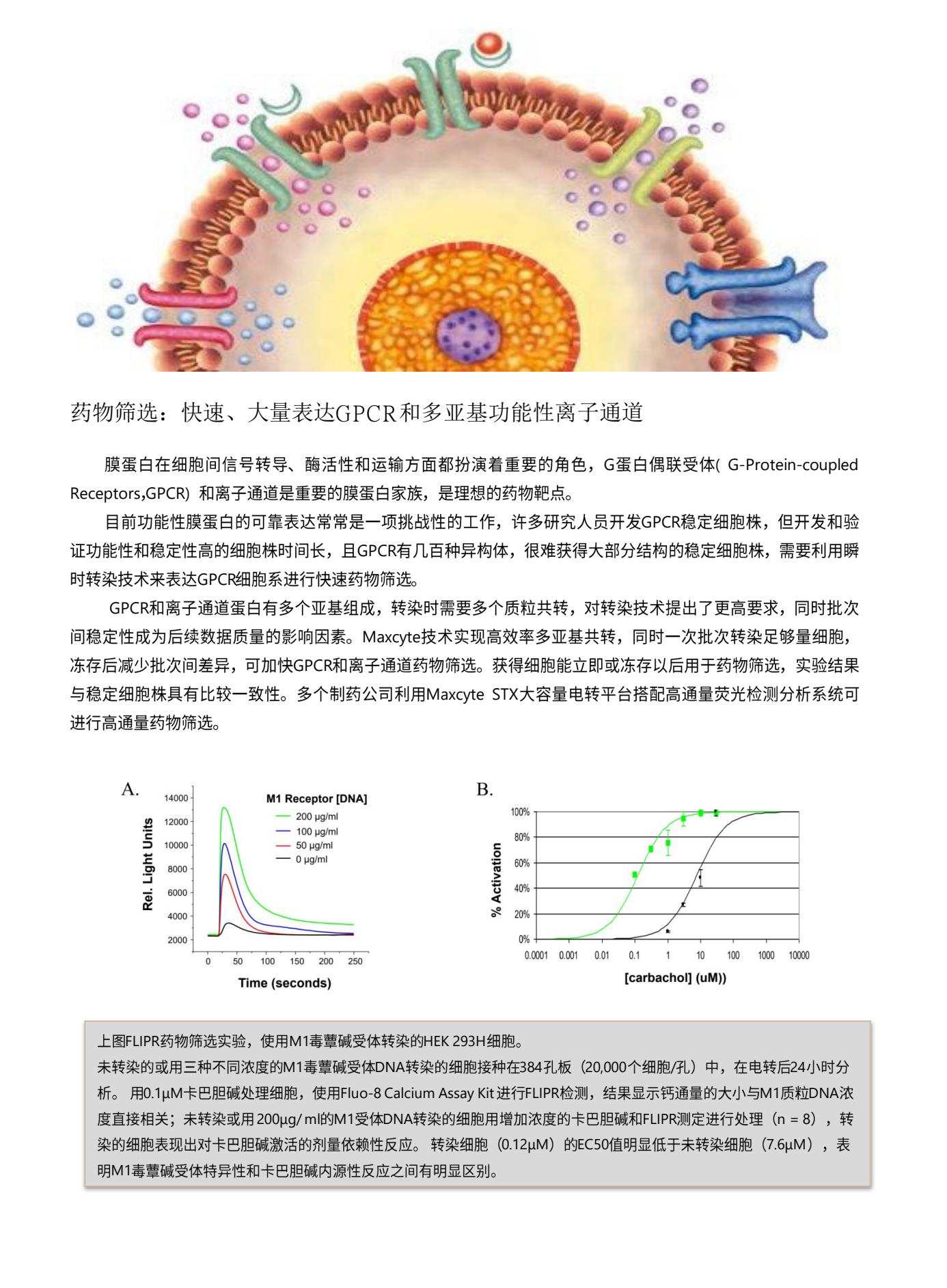 Maxcyte family brochure 20239.Jpg