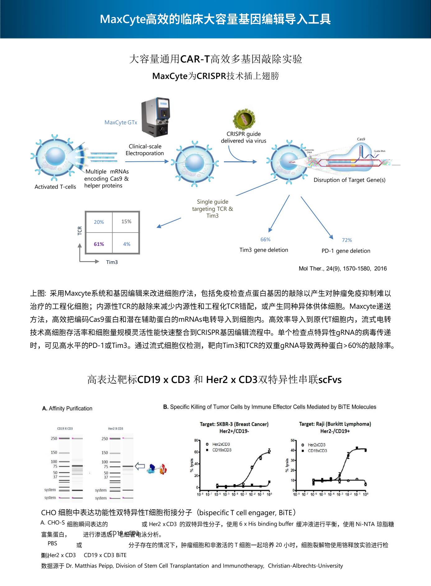 Maxcyte family brochure 20236.Jpg