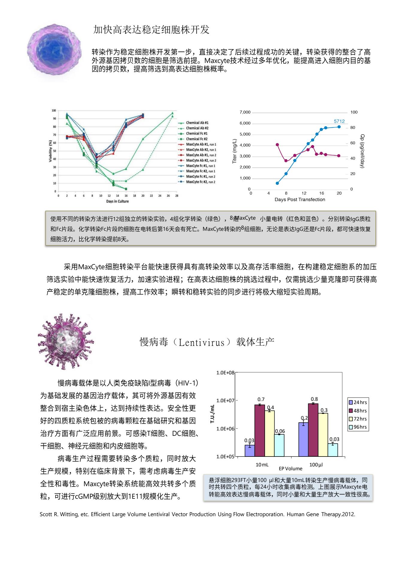 Maxcyte family brochure 20238.Jpg