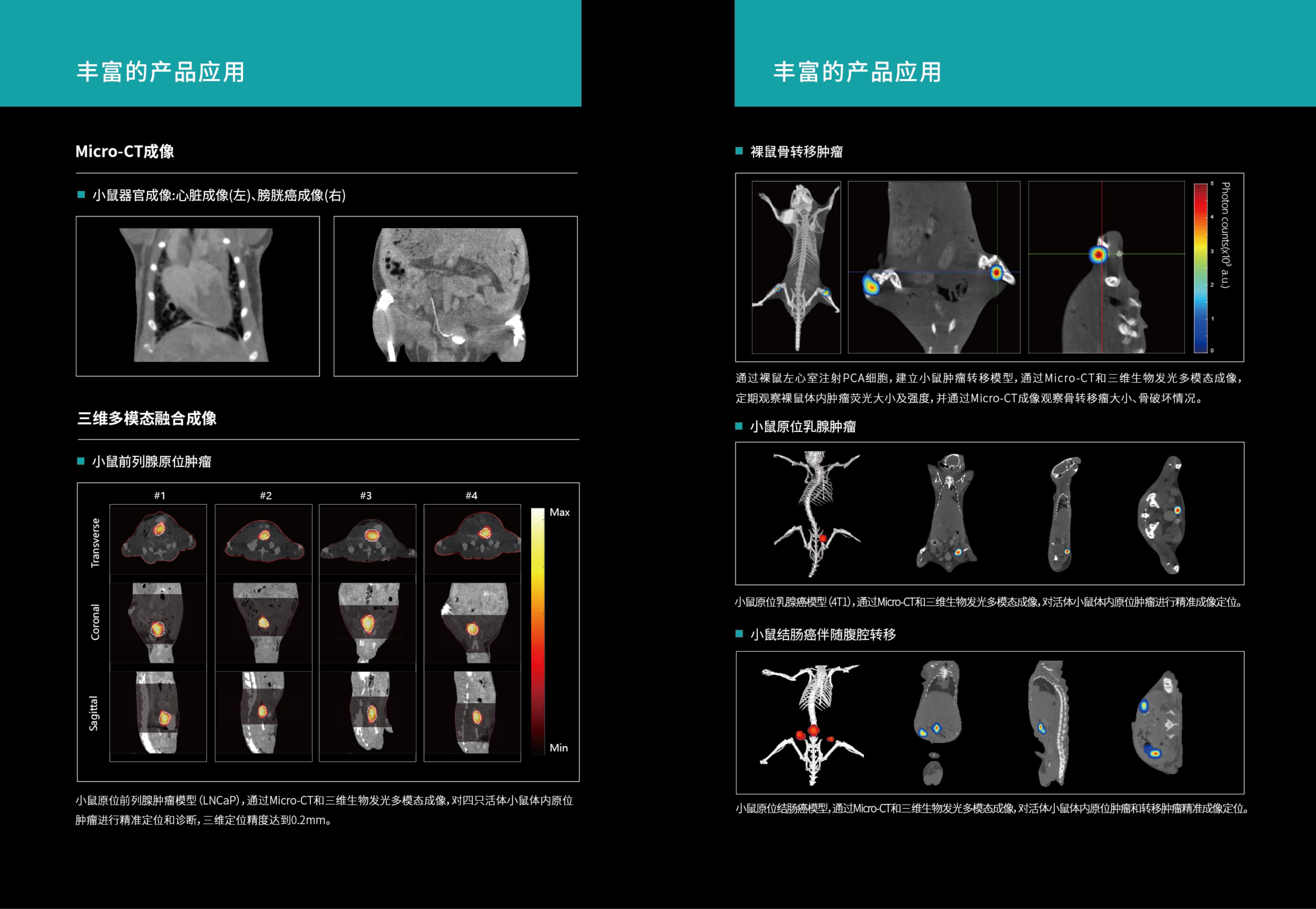 SHARP-1000画册7.Jpg