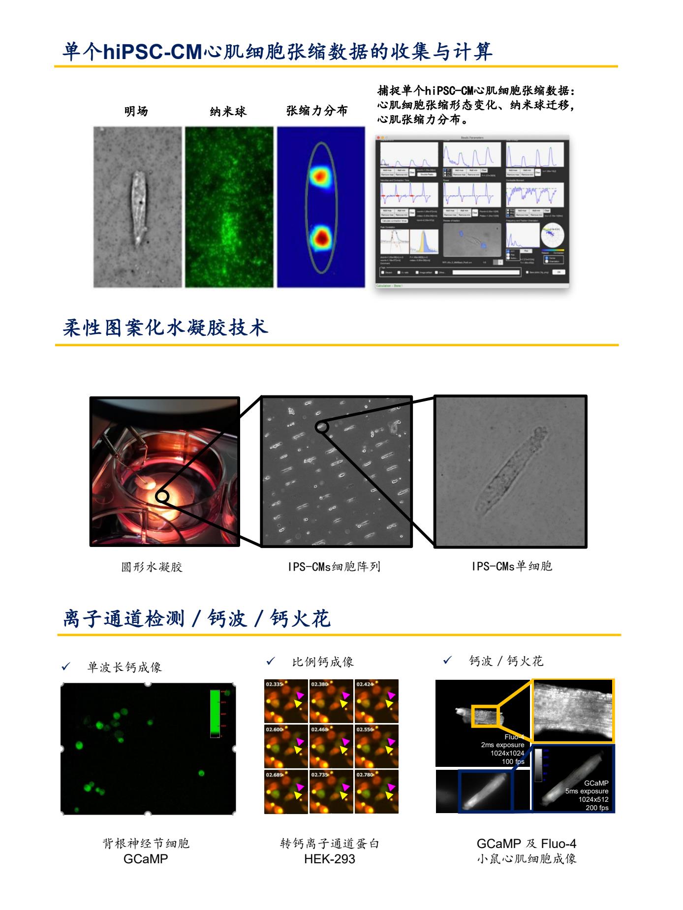 1_高通量单细胞，器官功能测量及纳米水凝胶培养系统彩页(1)3.Jpg