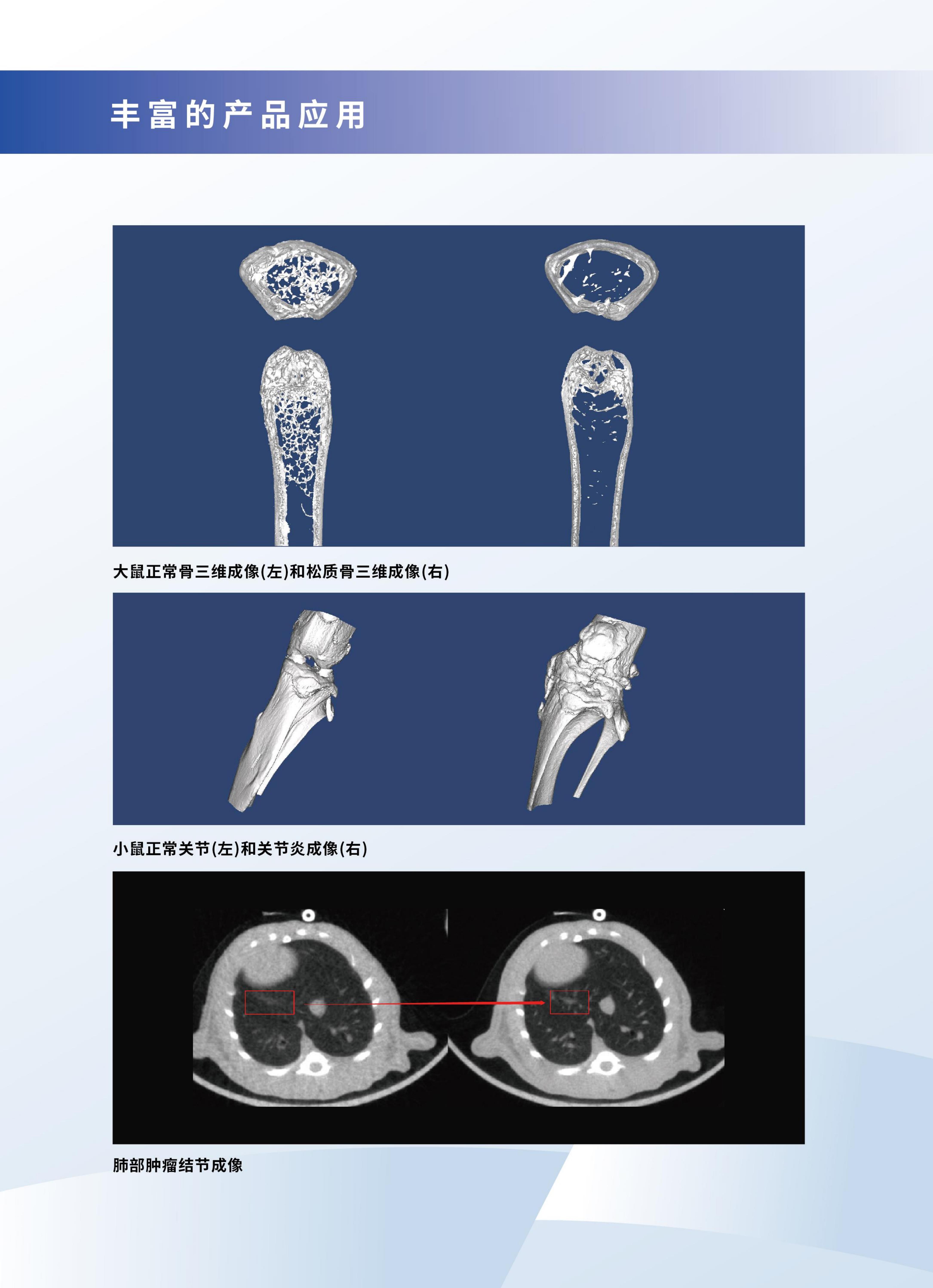 IMAGING 100彩页10.JABUIABACGAAgtpGUrgYo7b2QpwQw9CE46C4pABUIABACGAAgtpGUrgYo7b2QpwQw9CE46C4g