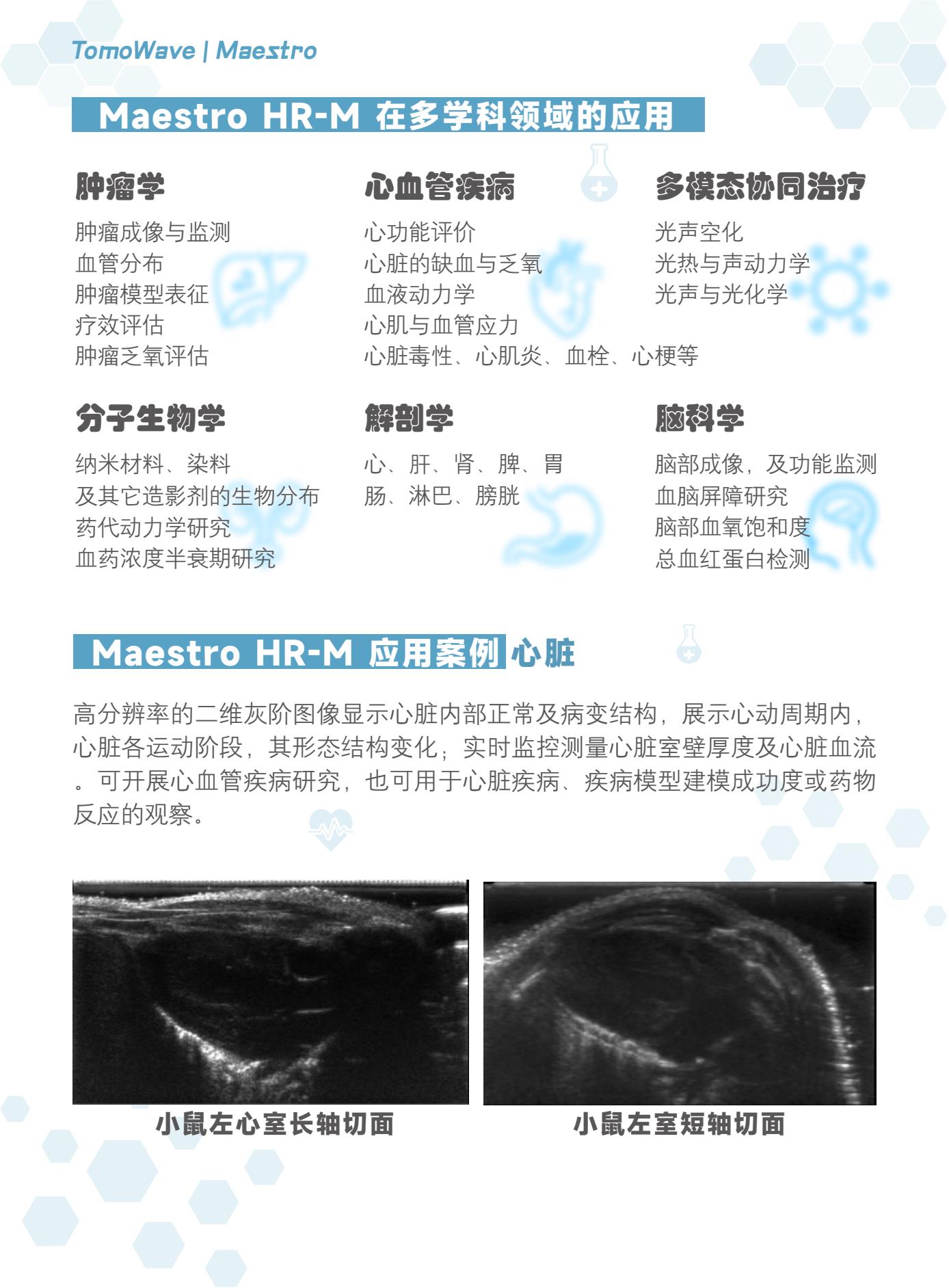 Maestro HR-M超高频小动物多模式光声超声成像系统6.Jpg