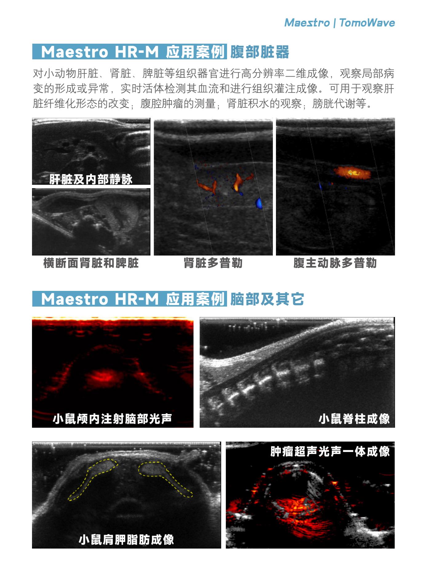 Maestro HR-M超高频小动物多模式光声超声成像系统7.Jpg